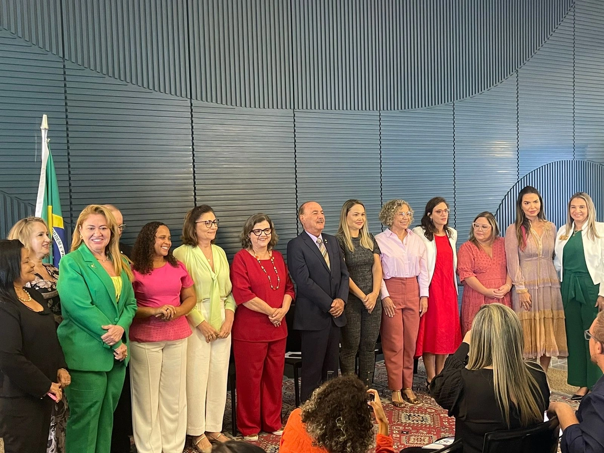 Deputada Simone e outros presidentes de frentes parlamentares que compõe a Rede Nacional