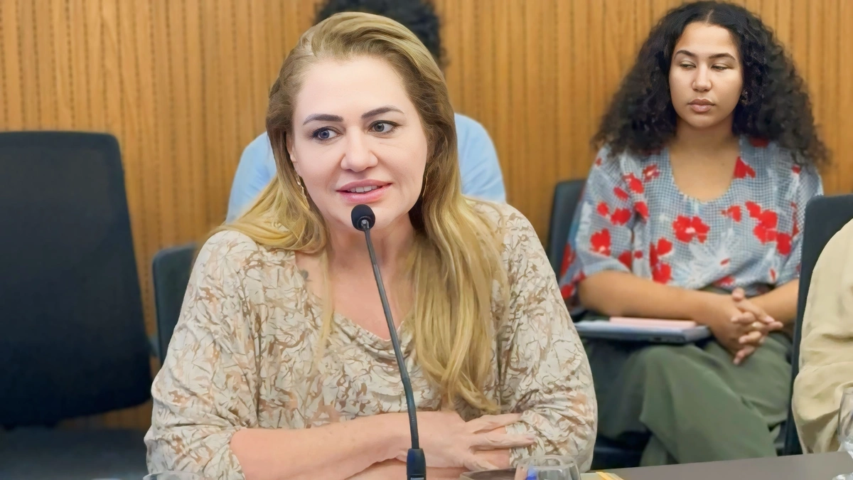 Deputada Simone falando durante reunião do Comitê