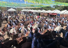 Multidão de vaqueiros presente na Cavalgada da Furta (Foto: Isabel Ribeiro)