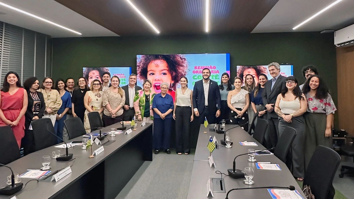 Participantes da reunião do Comitê Gestor do Pacto pelas crianças do Piauí