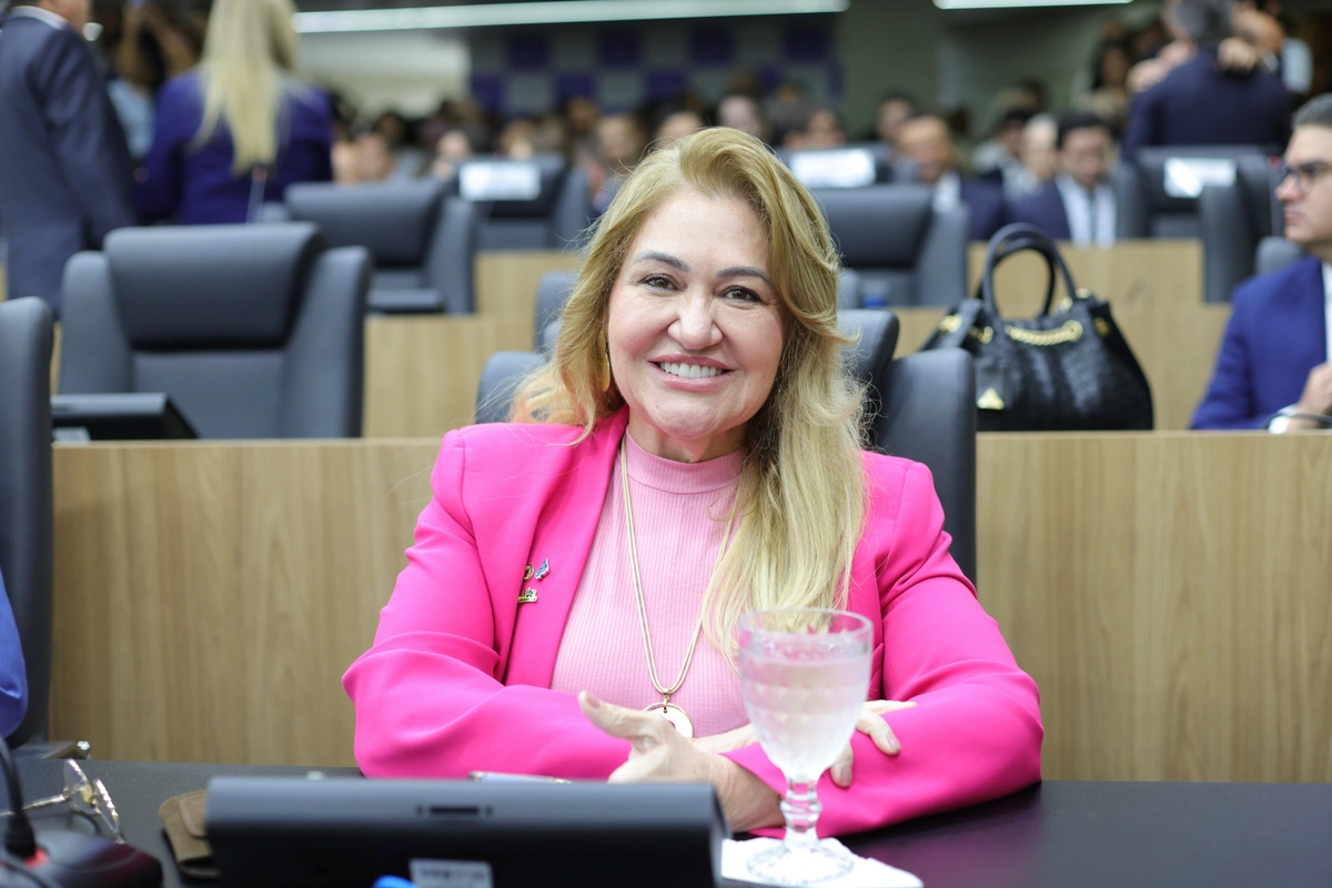 Deputada Simone - ALEPI