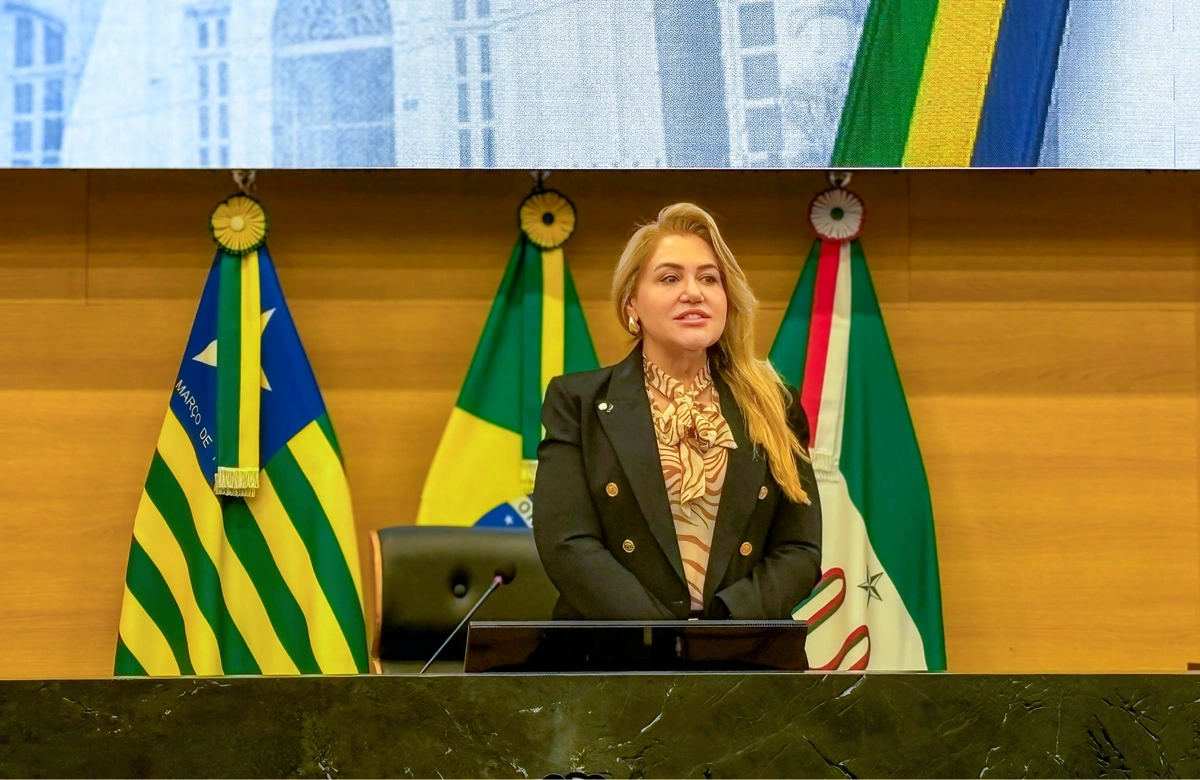 Deputada Simone - ALEPI